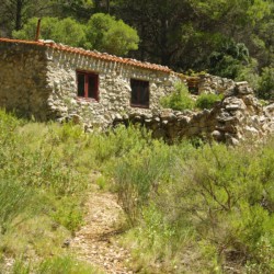 Almendra solitary cabin