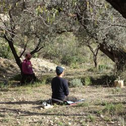 meditating in late December