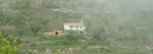 Arthasarana